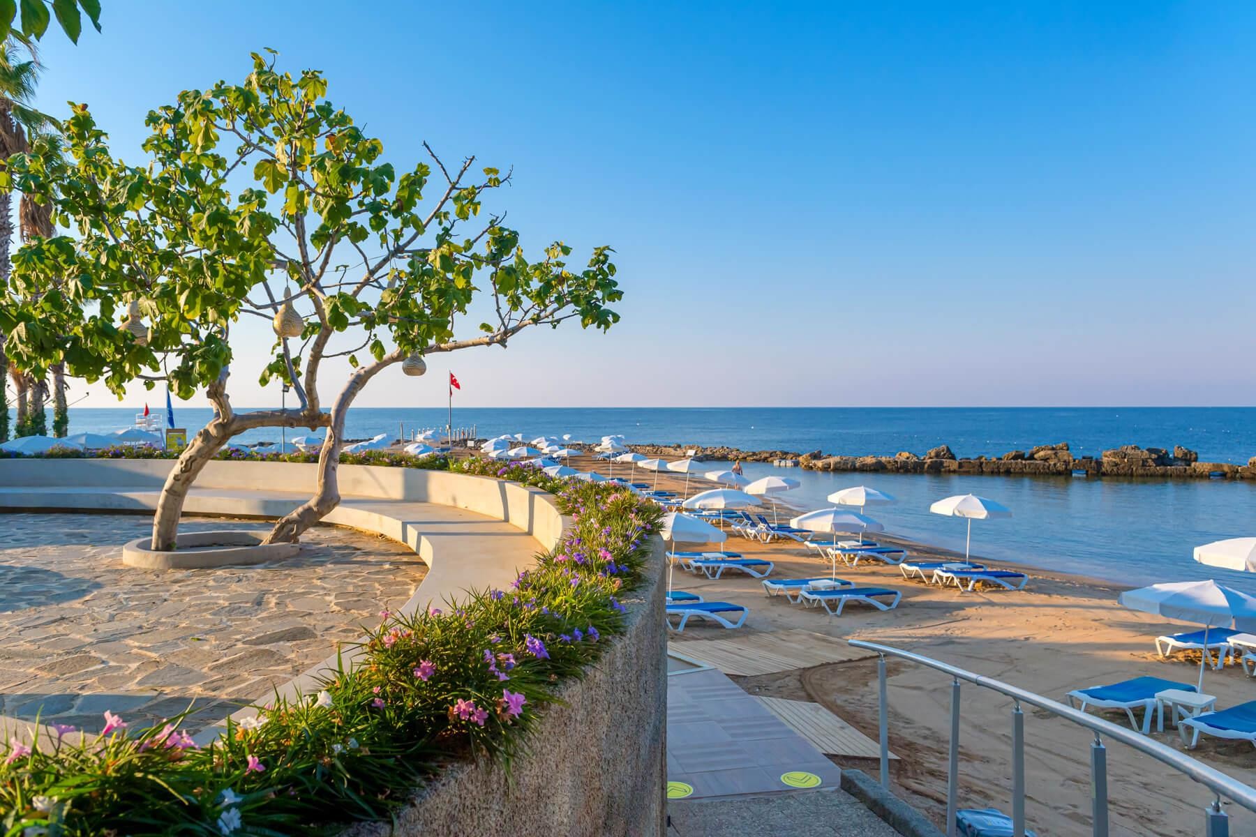 Numa Bay Exclusive 18