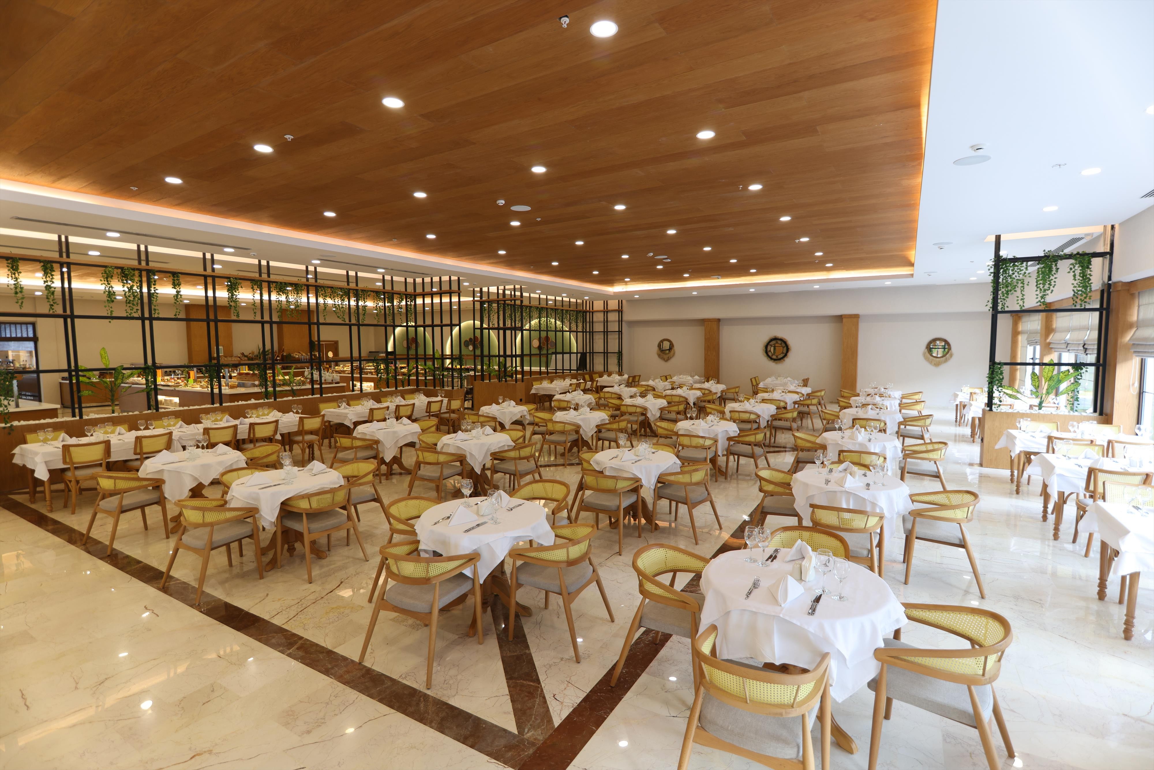 Aydinbey Siu Collection 12