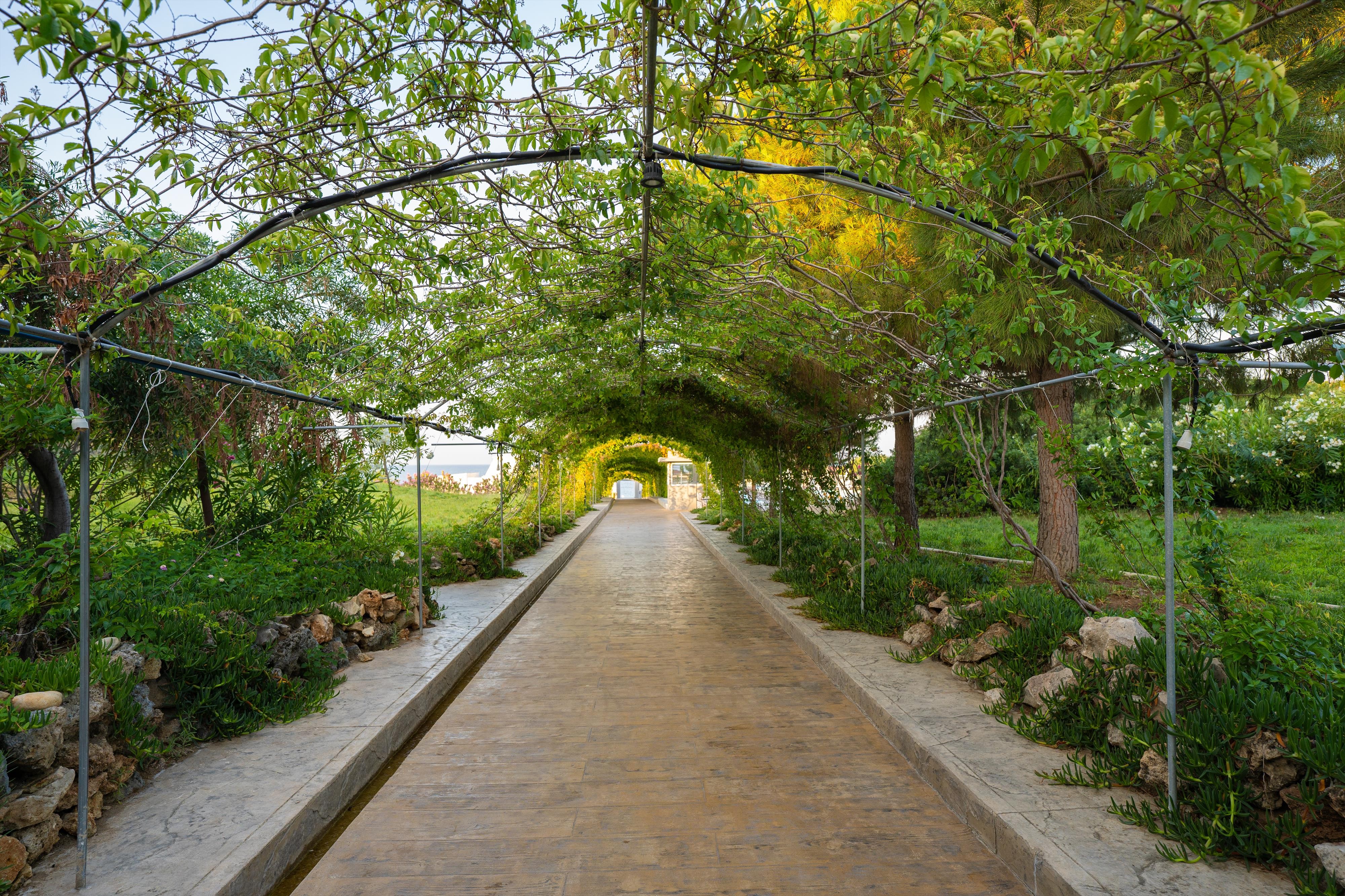 Master Family Club  10