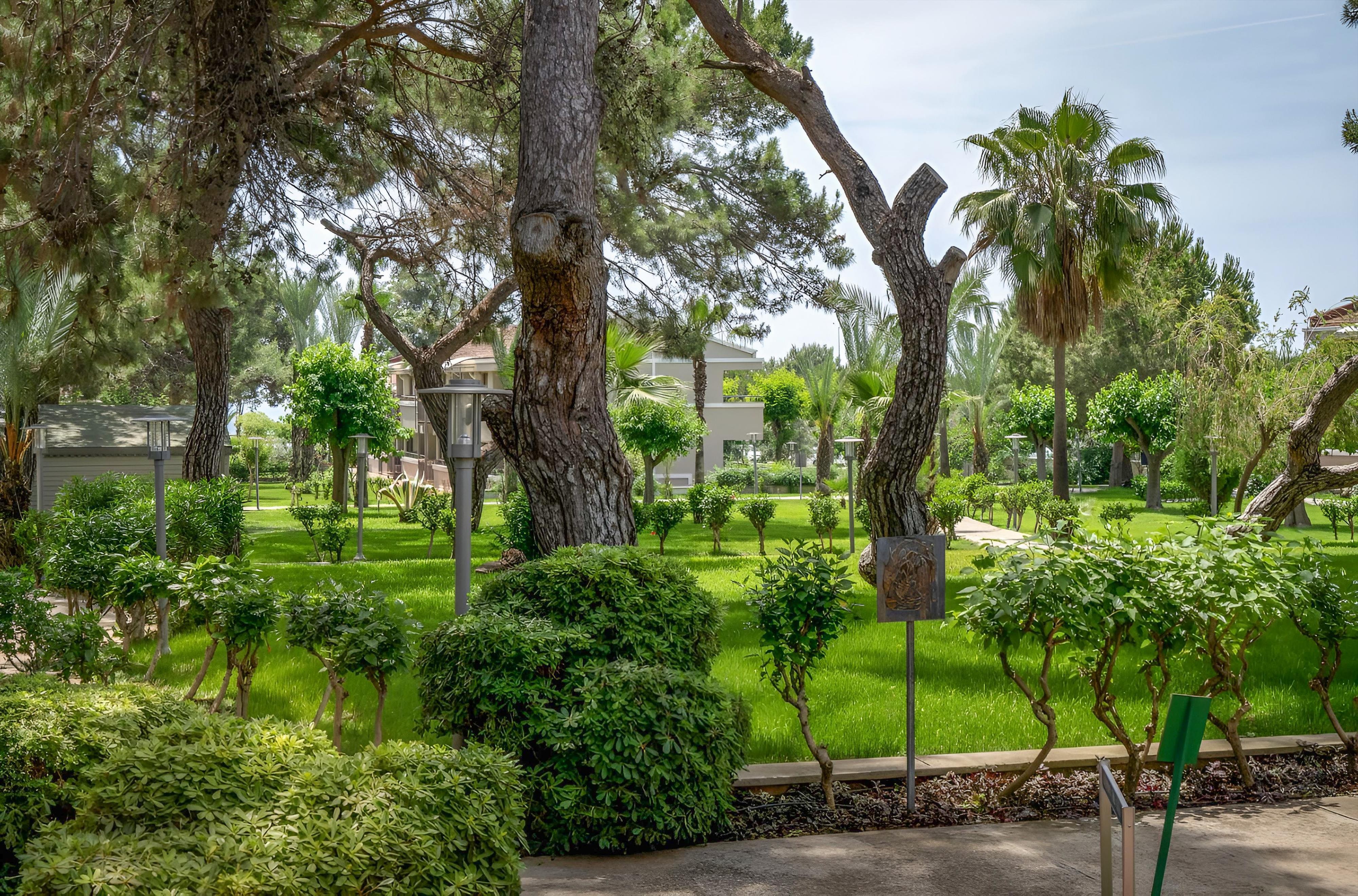 Master Family Club  8