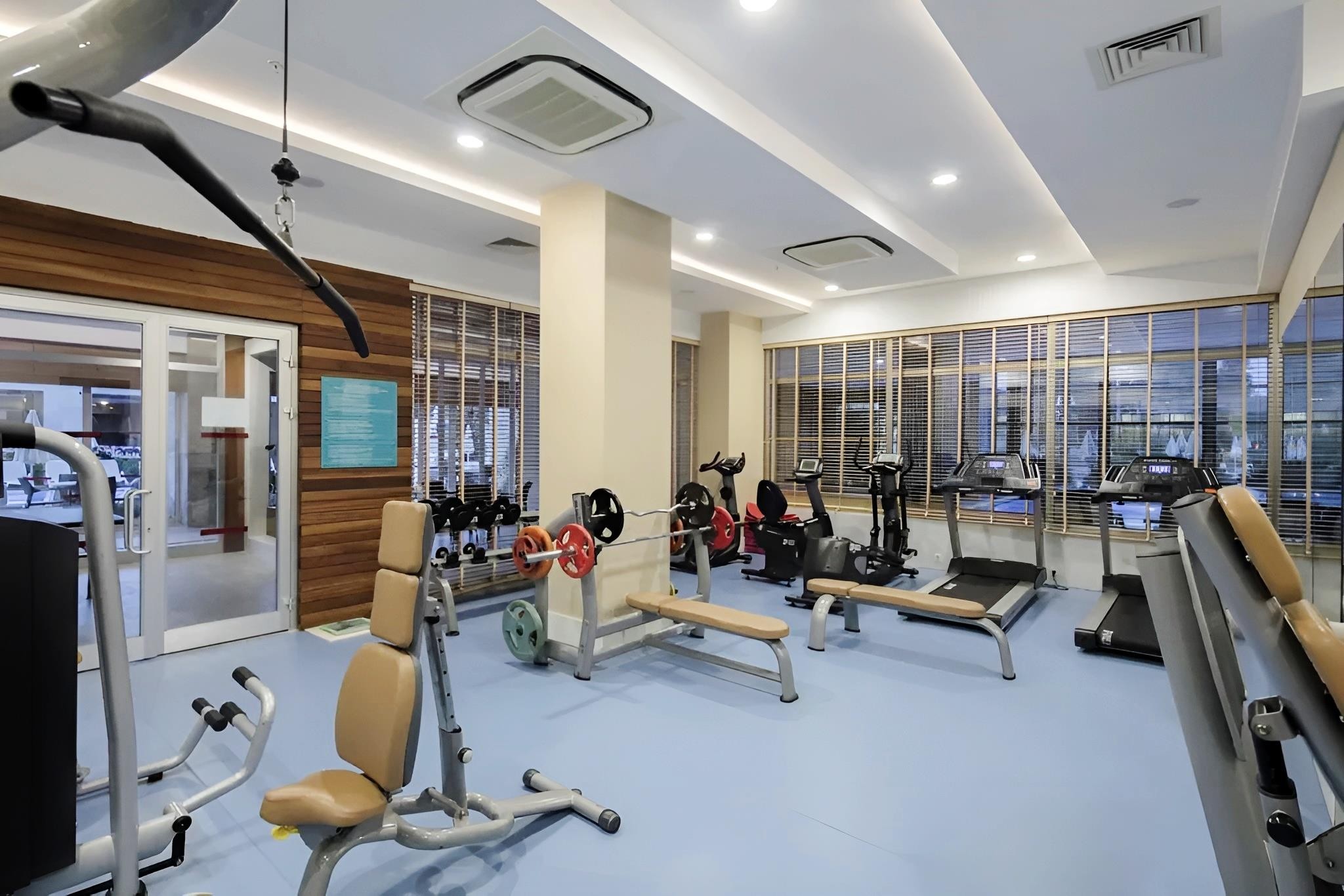 Trendy Verbena Beach 15