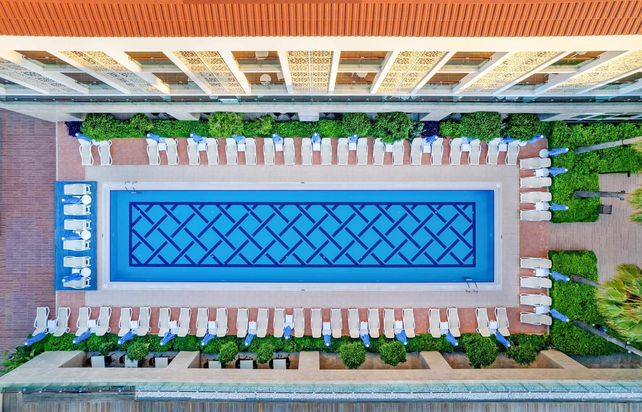 Trendy Verbena Beach 18