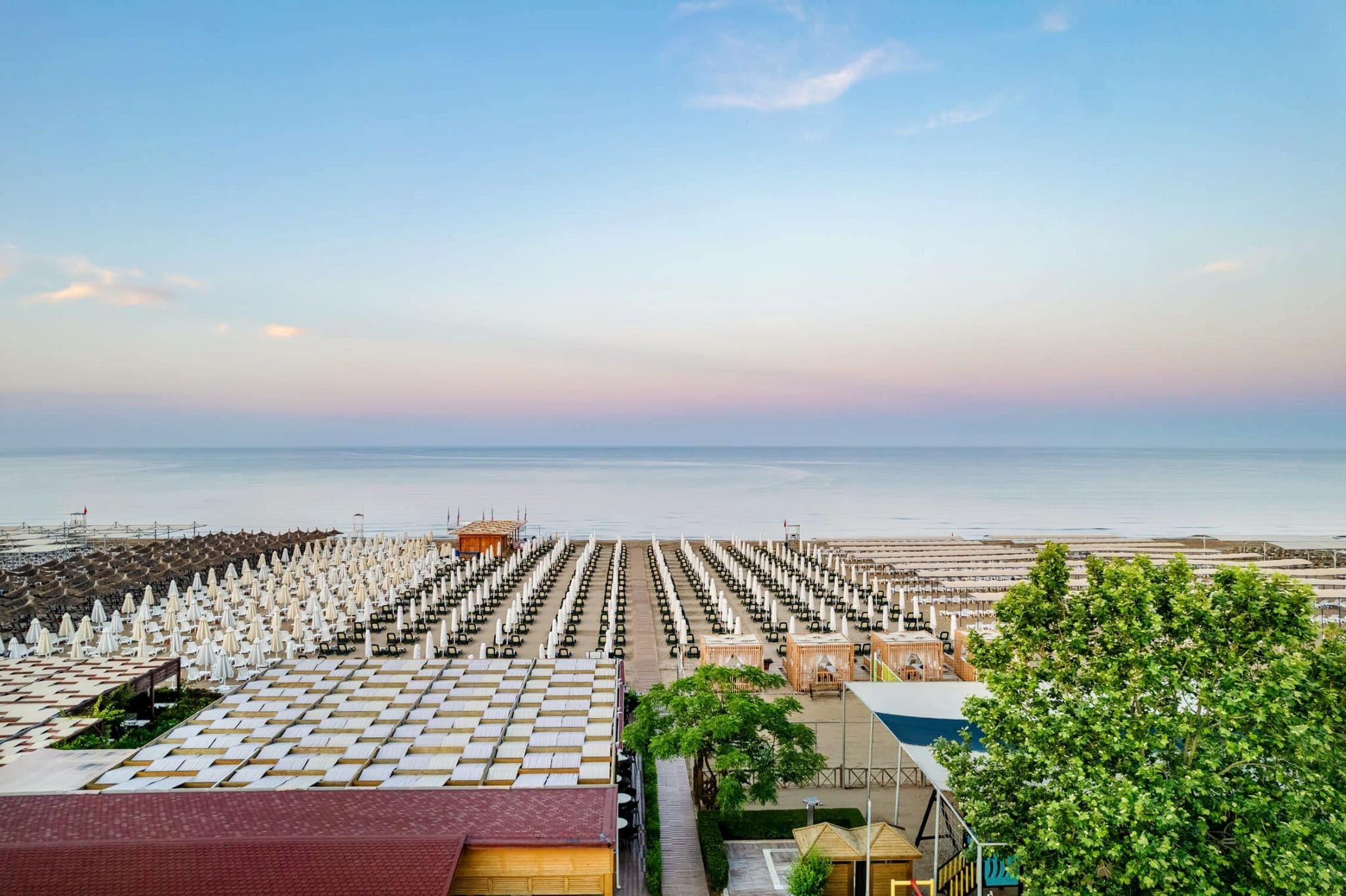 Trendy Verbena Beach