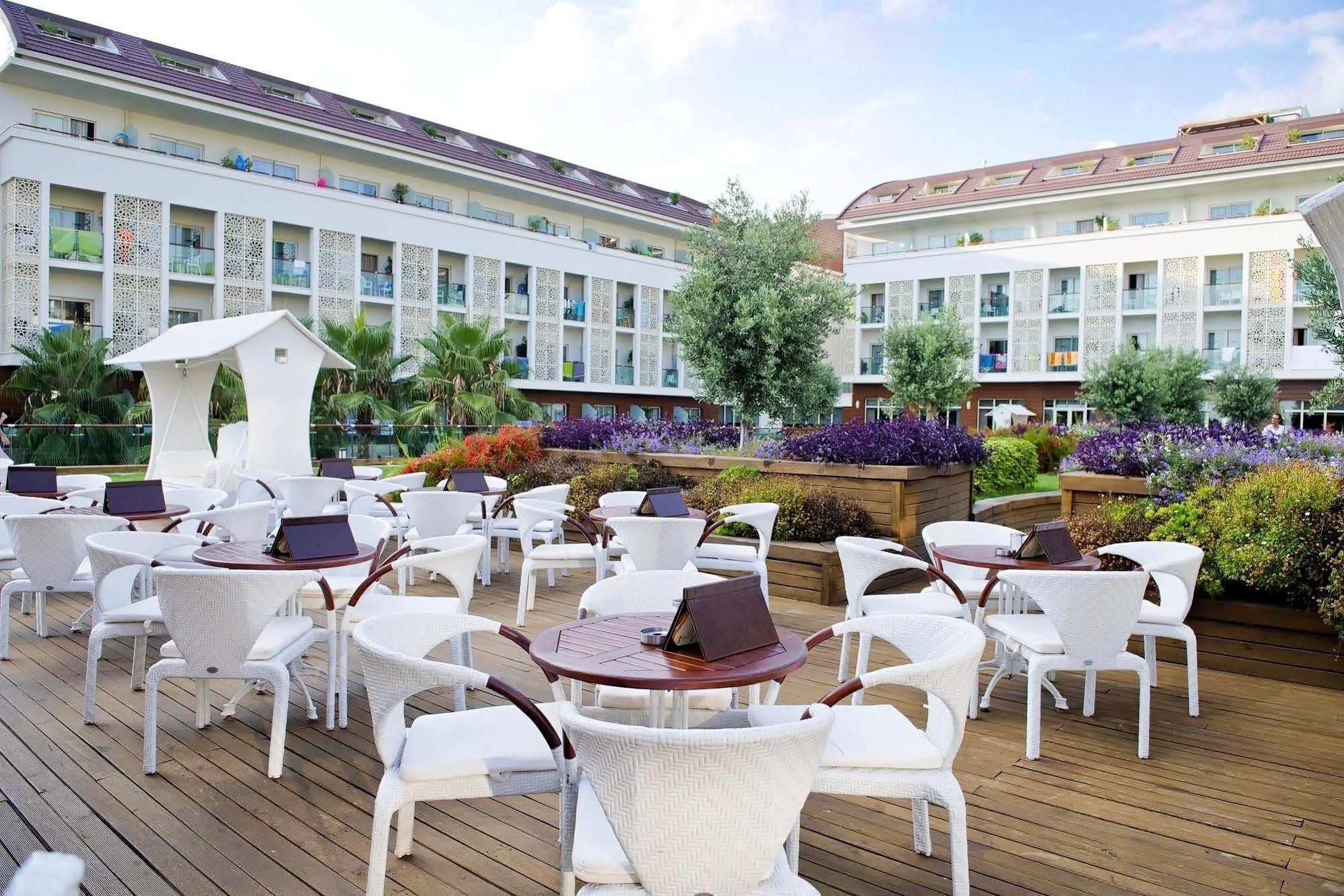 Trendy Verbena Beach 9