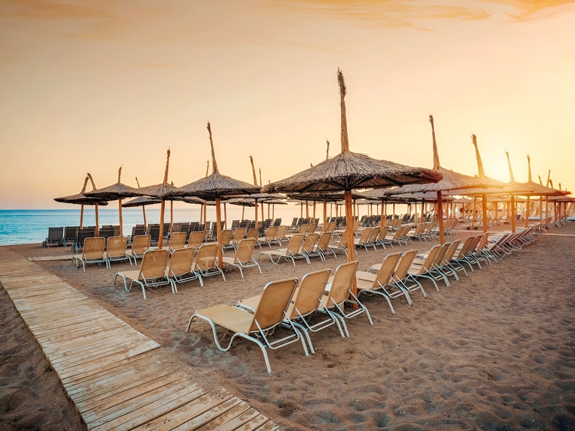 Asteria Bloom Side 6