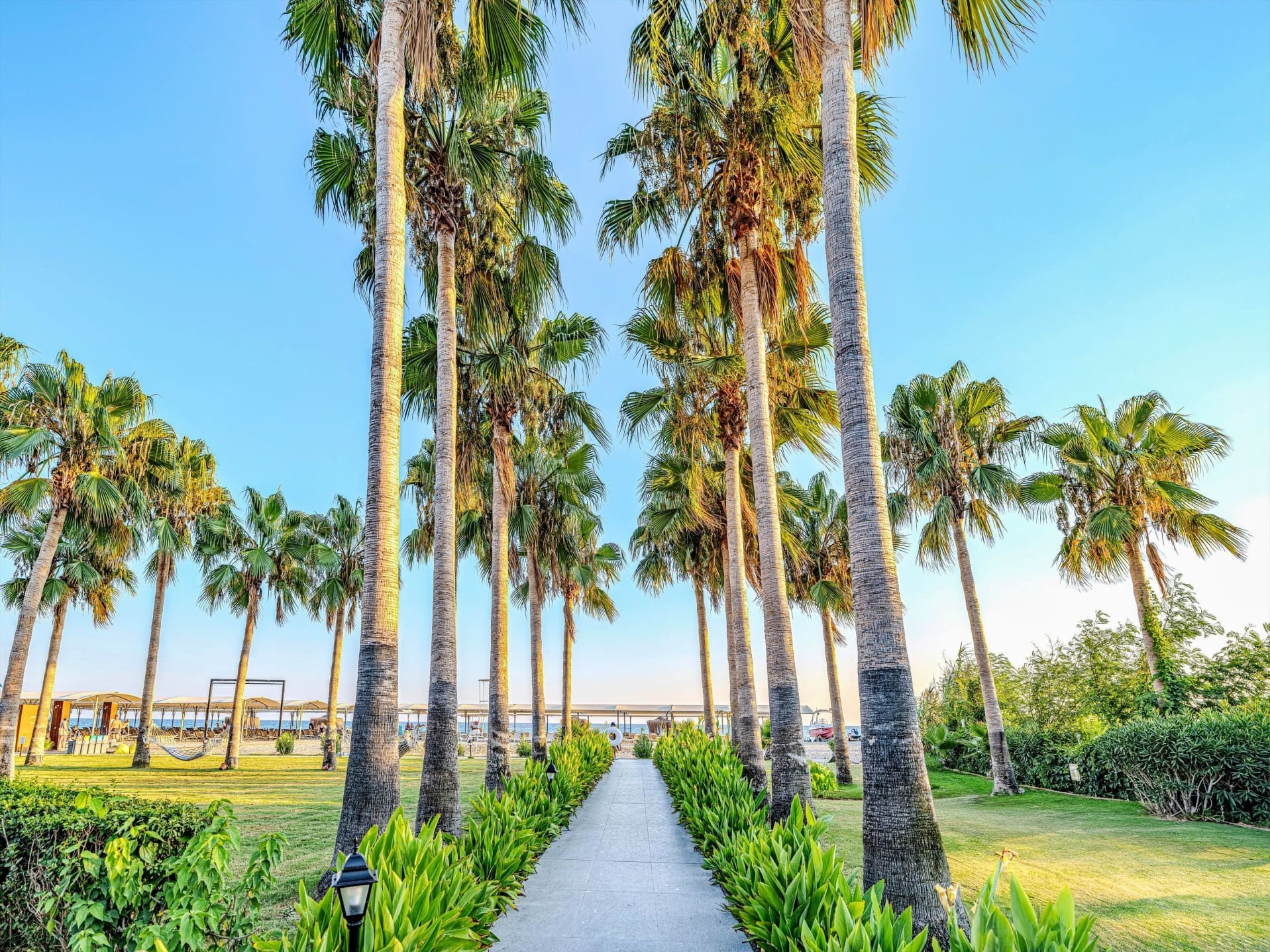 Washington Resort 14