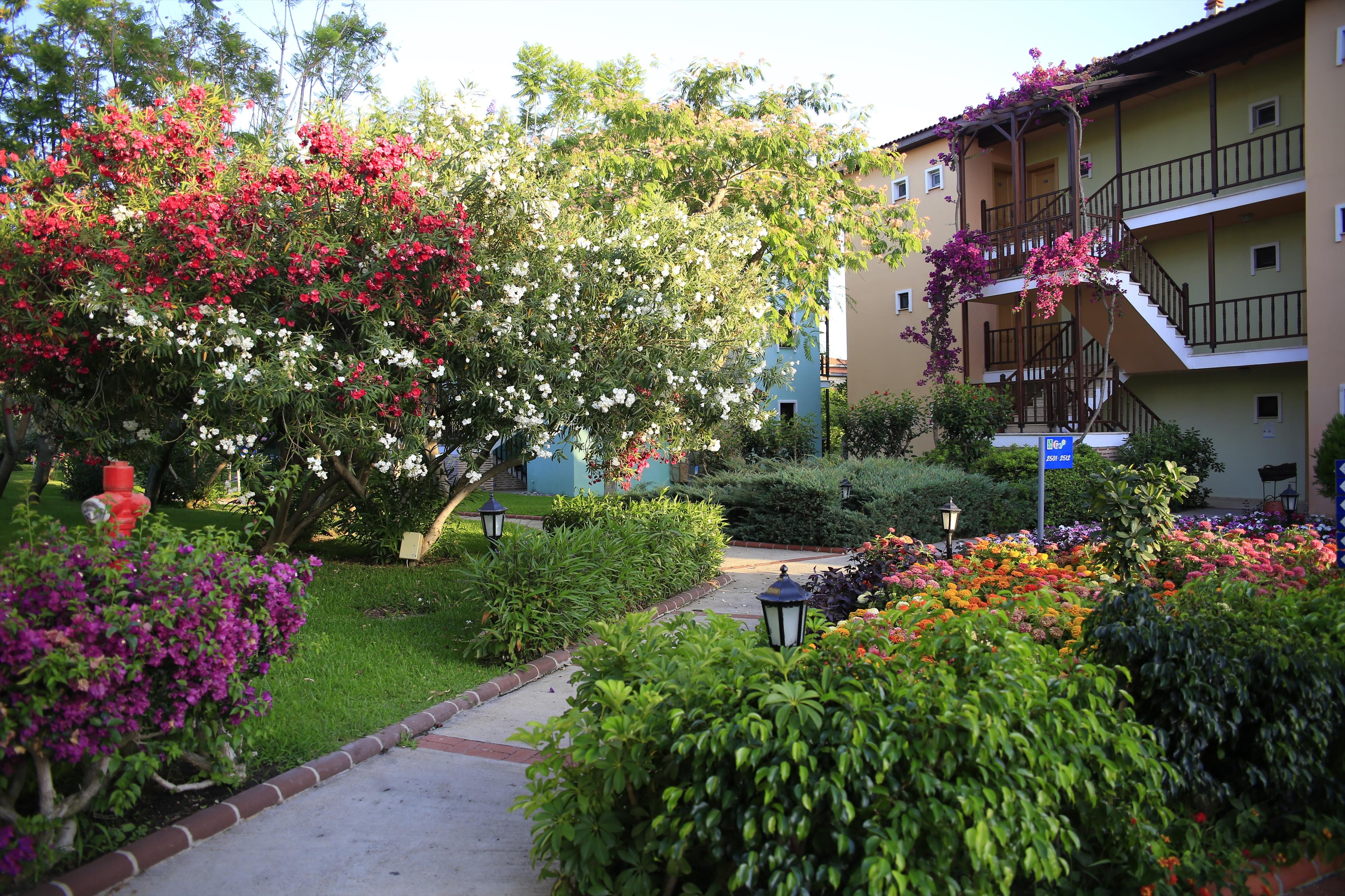 GYPSOPHILA HOLIDAY VILLAGE 9