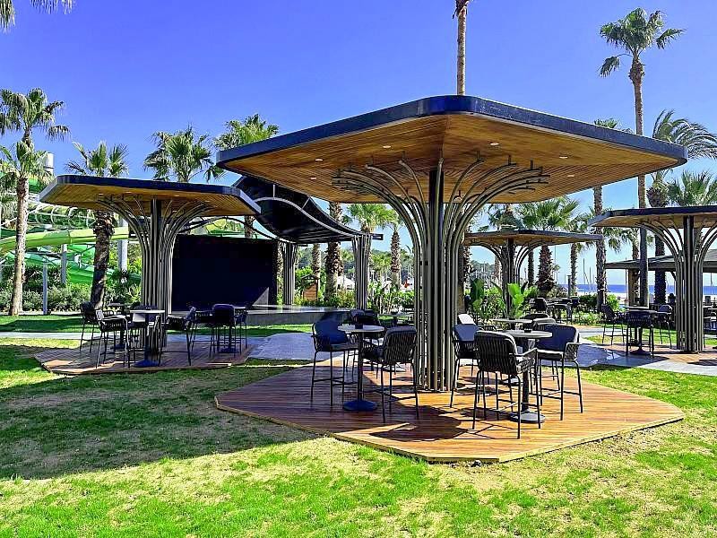 Leodikya Kirman Premium 24