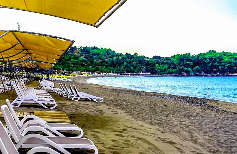 Leodikya Kirman Premium 16