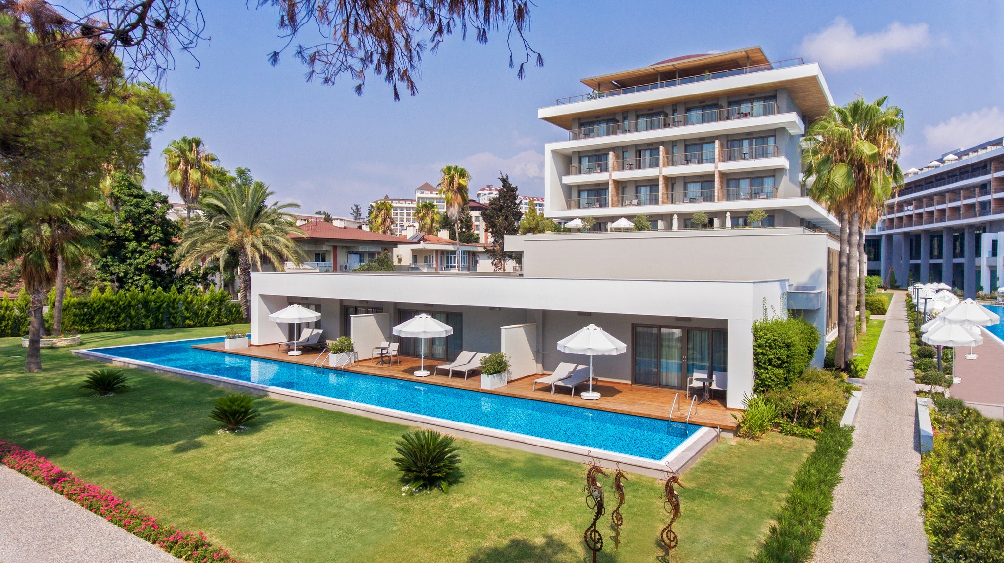 Acanthus Cennet Barut Collection  3