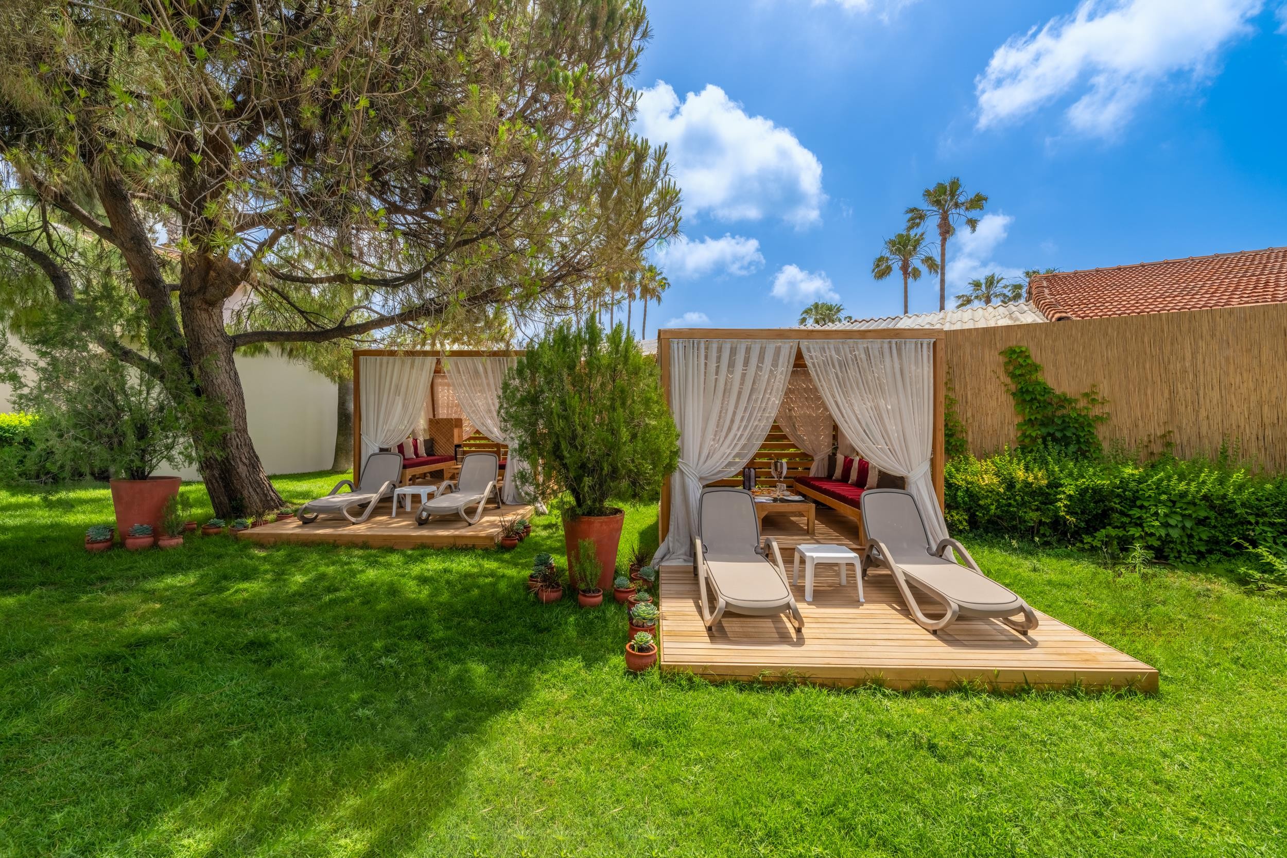 Trendy Palm Beach (Adults Only, 16+) 7