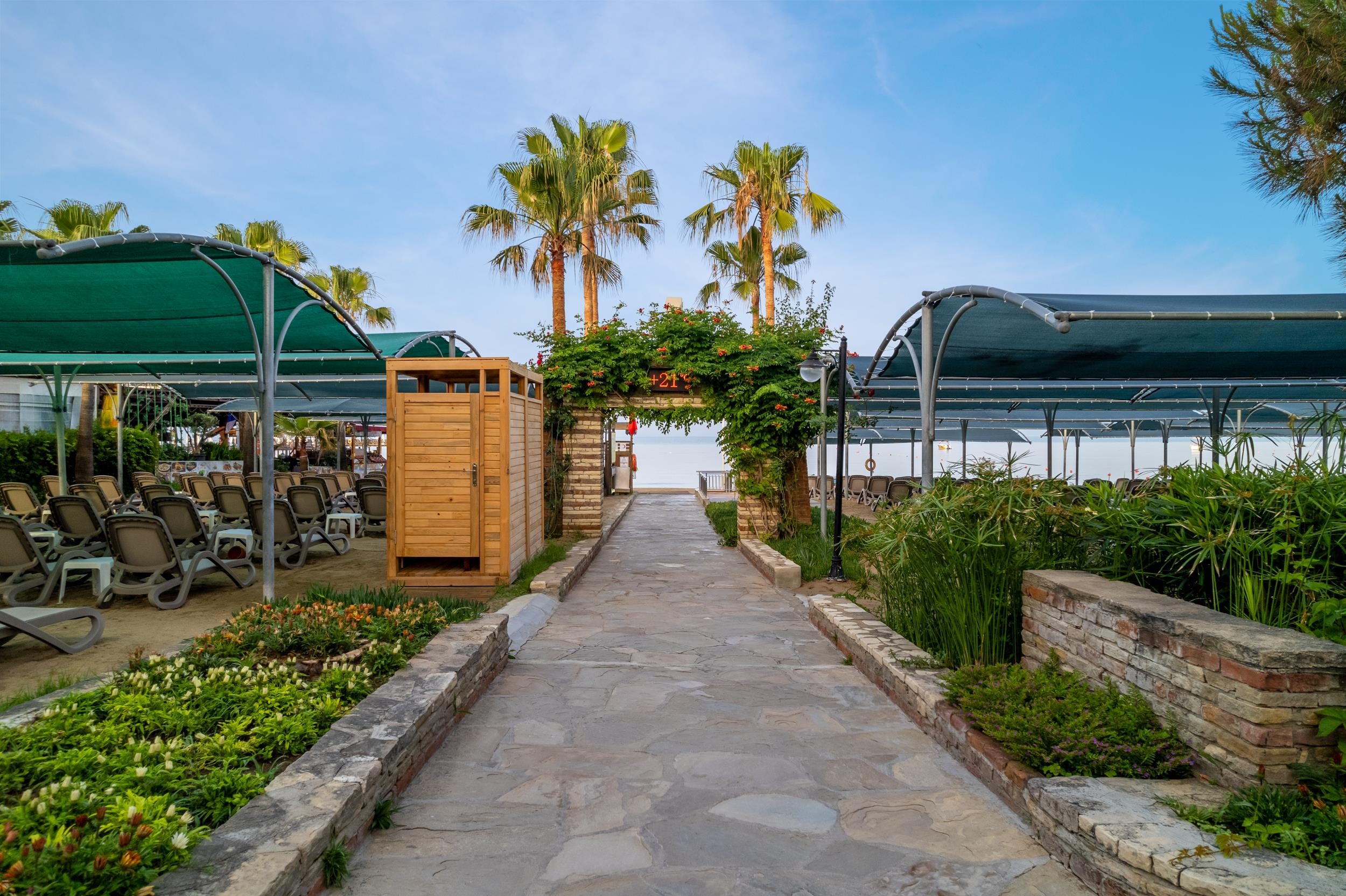 Trendy Palm Beach (Adults Only, 16+) 8