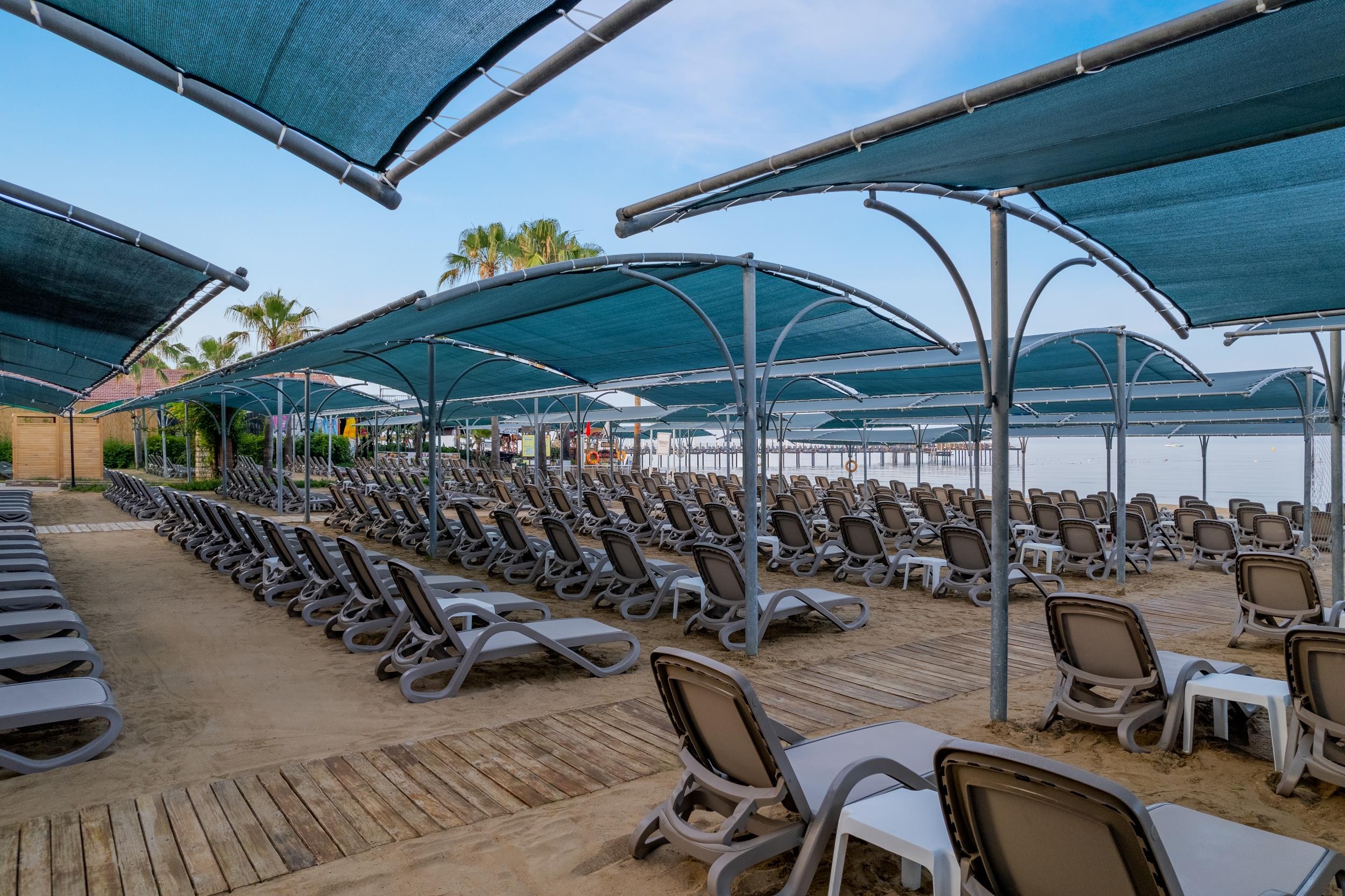 Trendy Palm Beach (Adults Only, 16+) 10