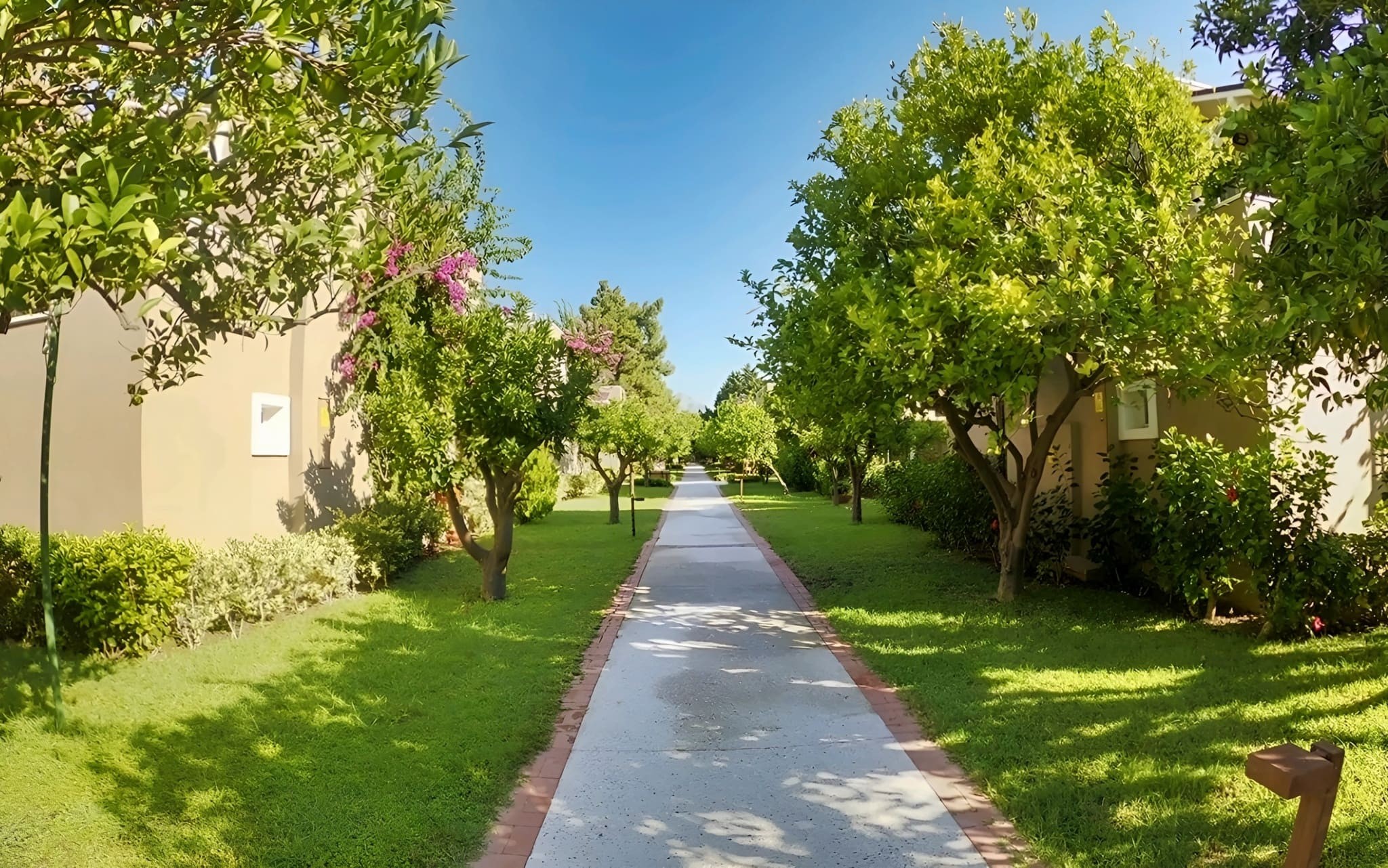 Pirates Beach Club 8