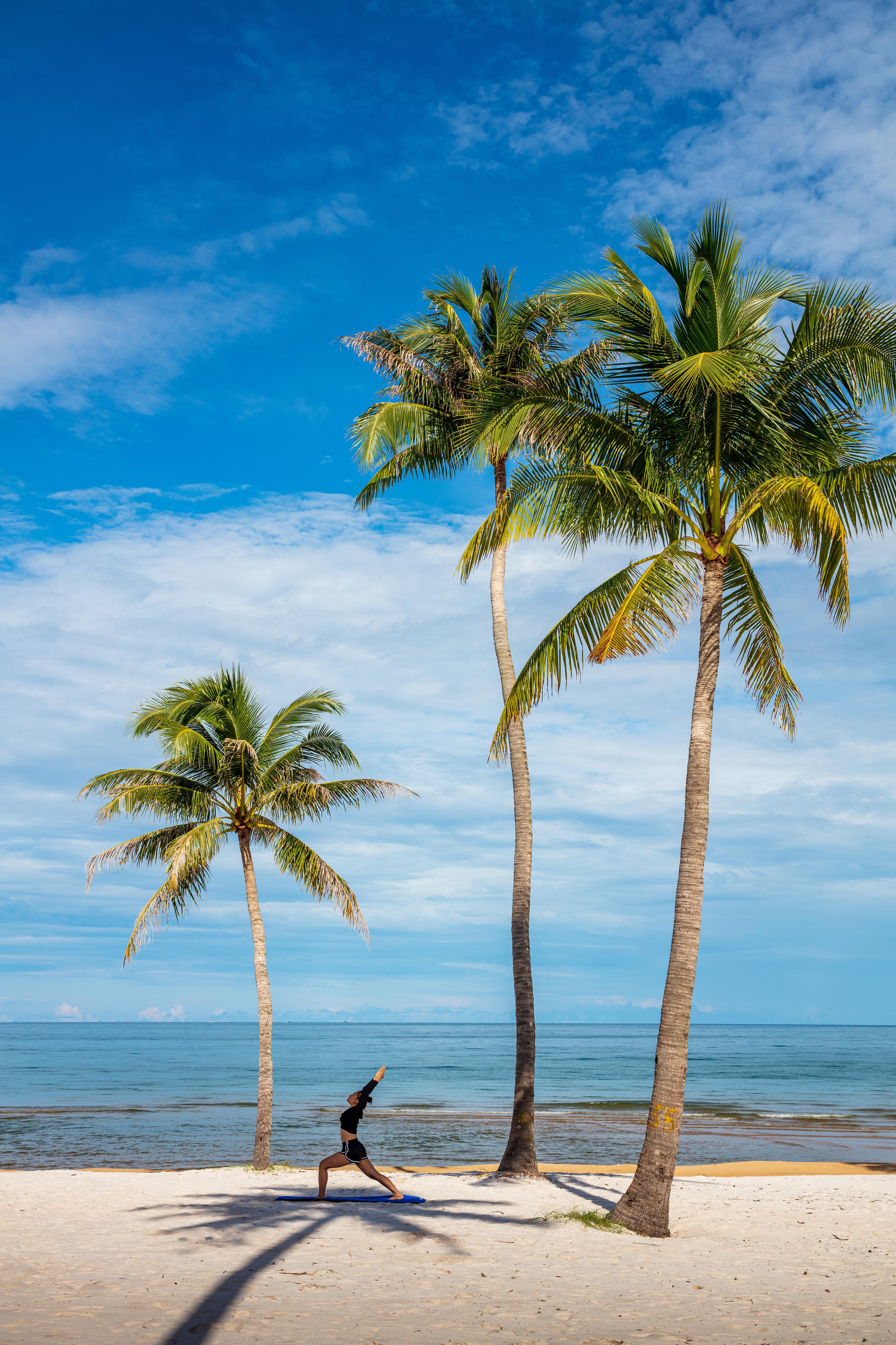 Pullman Phu Quoc Beach Resort   14